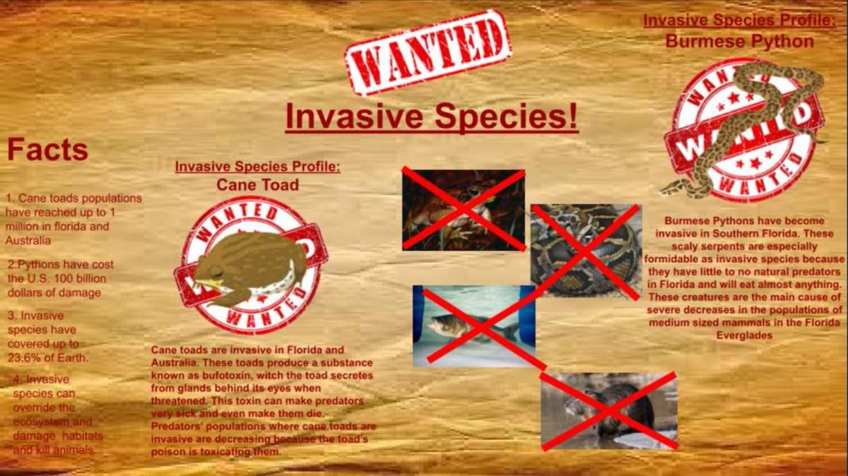 Erica Camilo tweet media