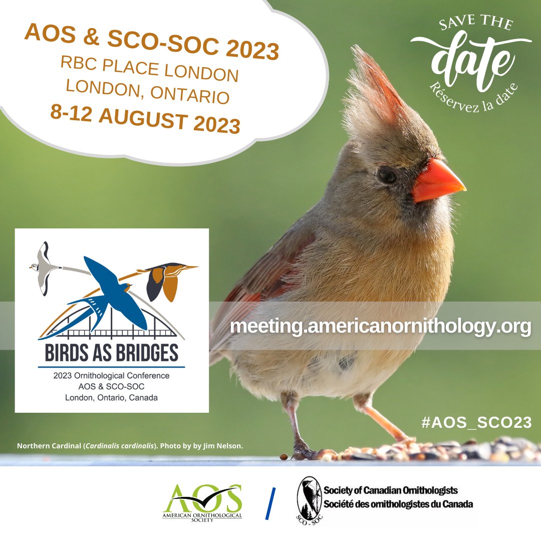 AmOrnith's tweet photo. Save the date for #AOS_SCO23, a joint meeting of @AmOrnith &amp; @SCO_SOC in London, Ontario, from 8–12 Aug '23. Check out our website for info about proposal submissions (workshops, roundtables, symposia) &amp; ways to get involved. We hope to see you in August! 
https://t.co/gD9mdaagkg https://t.co/JDZ6i1y7yb