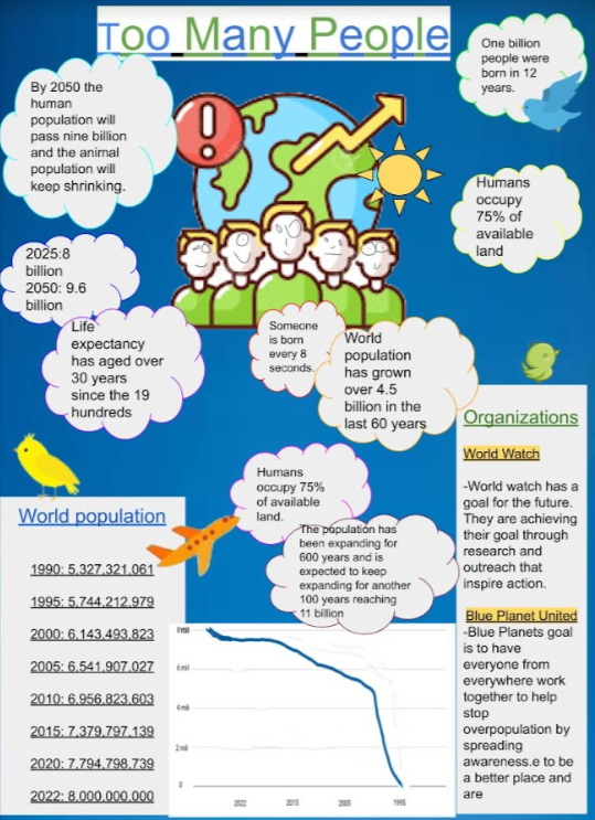 Erica Camilo tweet media