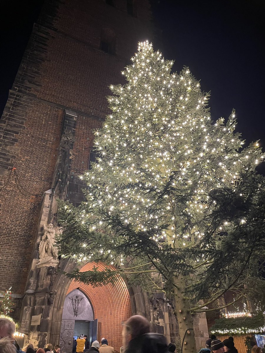 Joe Verducci 🐀 tweet media