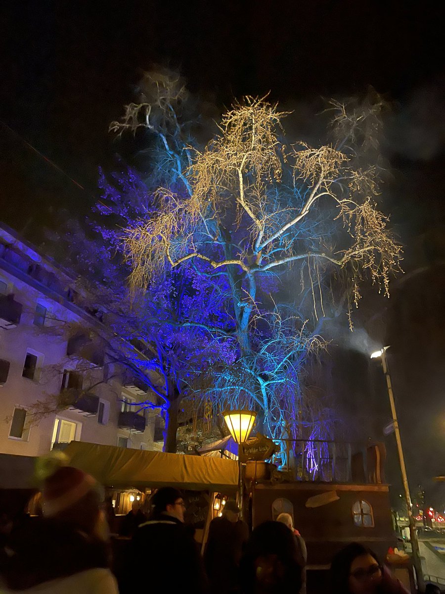 Joe Verducci 🐀 tweet media