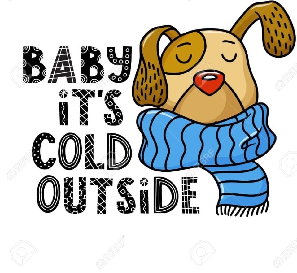 Folks we need blankets and bedding urgently. The pipes have been frozen all week so we have been unable to use the washing machine. If anyone locally has bedding, we would appreciate it.