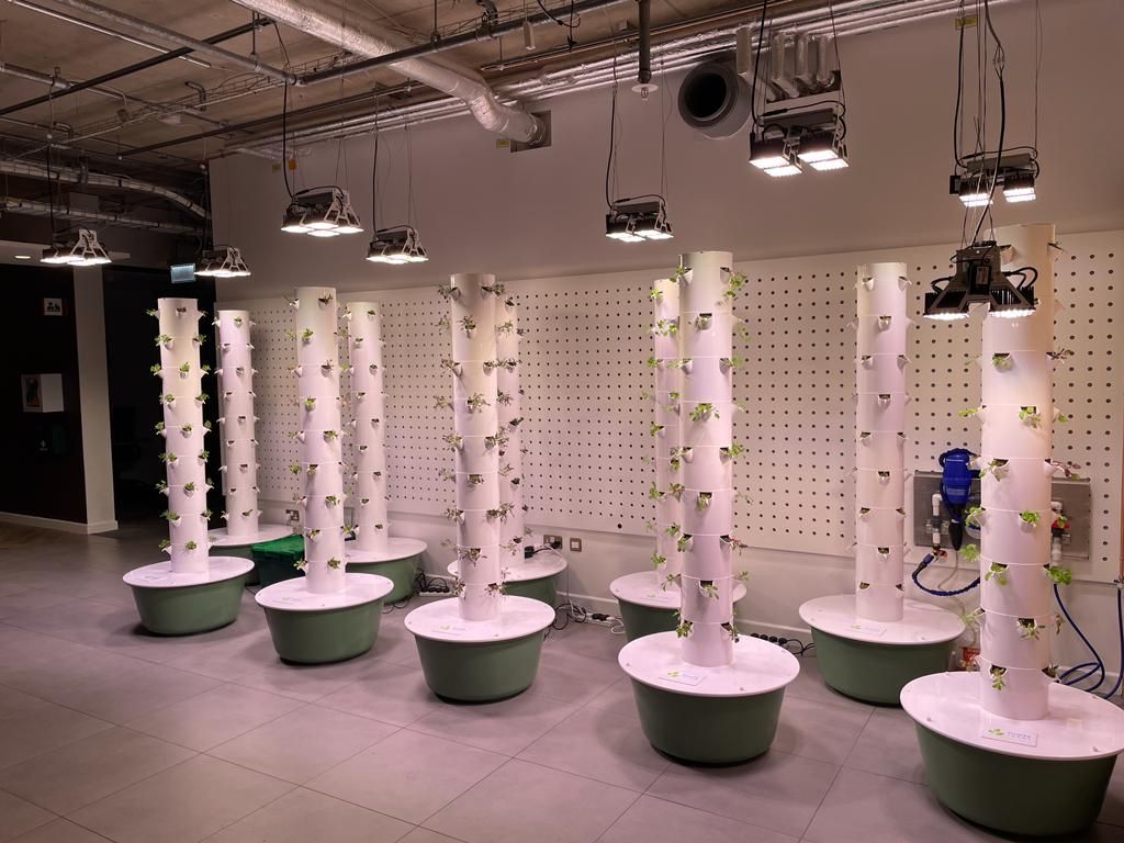 towerfarms_'s tweet photo. Congrats Jenny Twomey and team! So excited about the new #towerfarm at the LinkedIn EMEA Headquarters!!! https://t.co/cg6BIMqFM0 https://t.co/7qvdbhQDxB