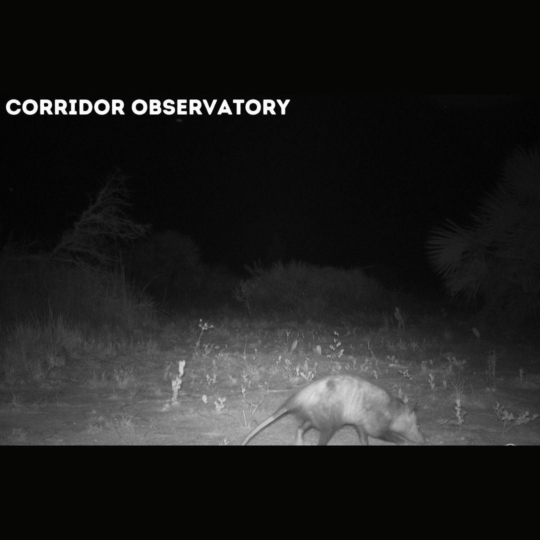 Joseph M. Guthrie tweet media