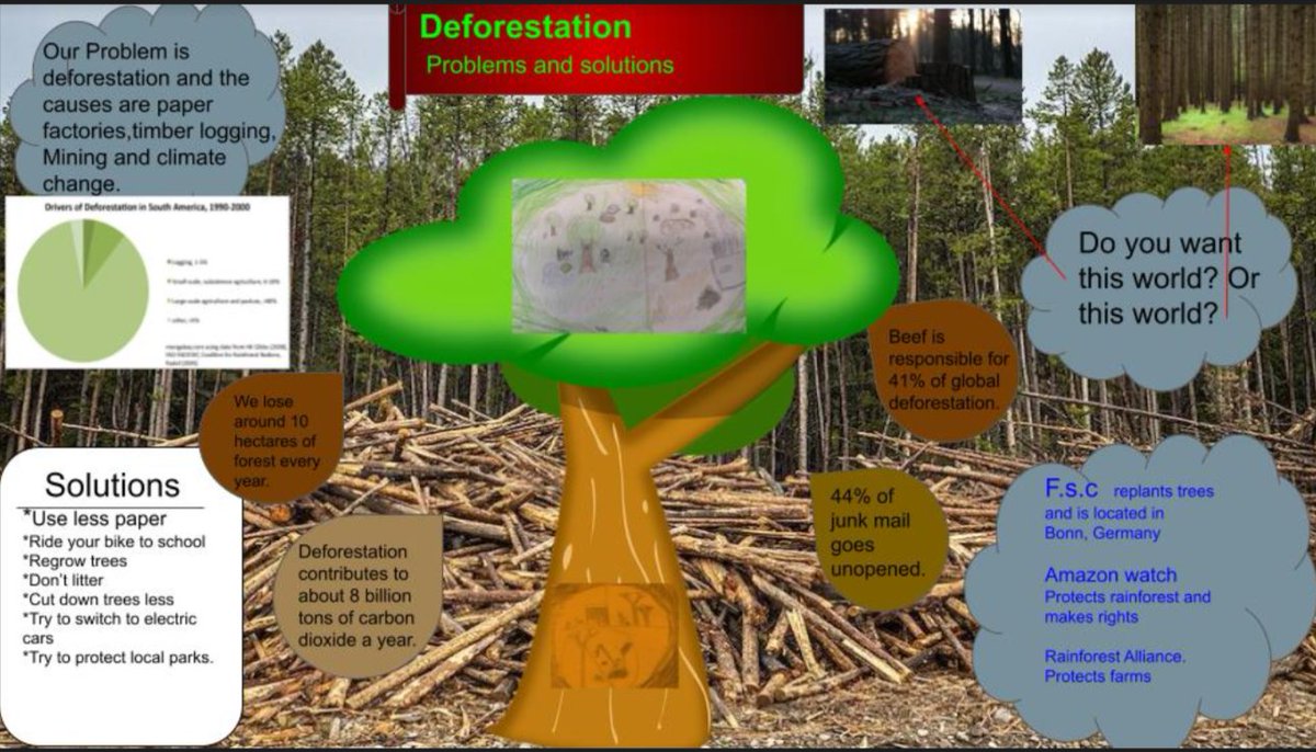 Erica Camilo tweet media