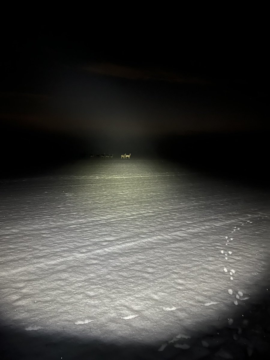 Plummie2's tweet photo. Winter walks ❄️👣
#snow #walking #outdoors https://t.co/zX6NUKJdhu