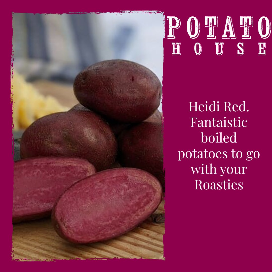 PotatoHouseUK's tweet photo. Nobody can stop at just roasties for Christmas! There has to be at least one other type, by order of the Elves! What better to contrast the Arran Victory is Heidi Red.
https://t.co/vdKqbPbF6Q
#YouCantJustHaveRoasties
#RedPotato
#PotatoHouseToEat
#HeidiRed https://t.co/Mi0cRu0xNH