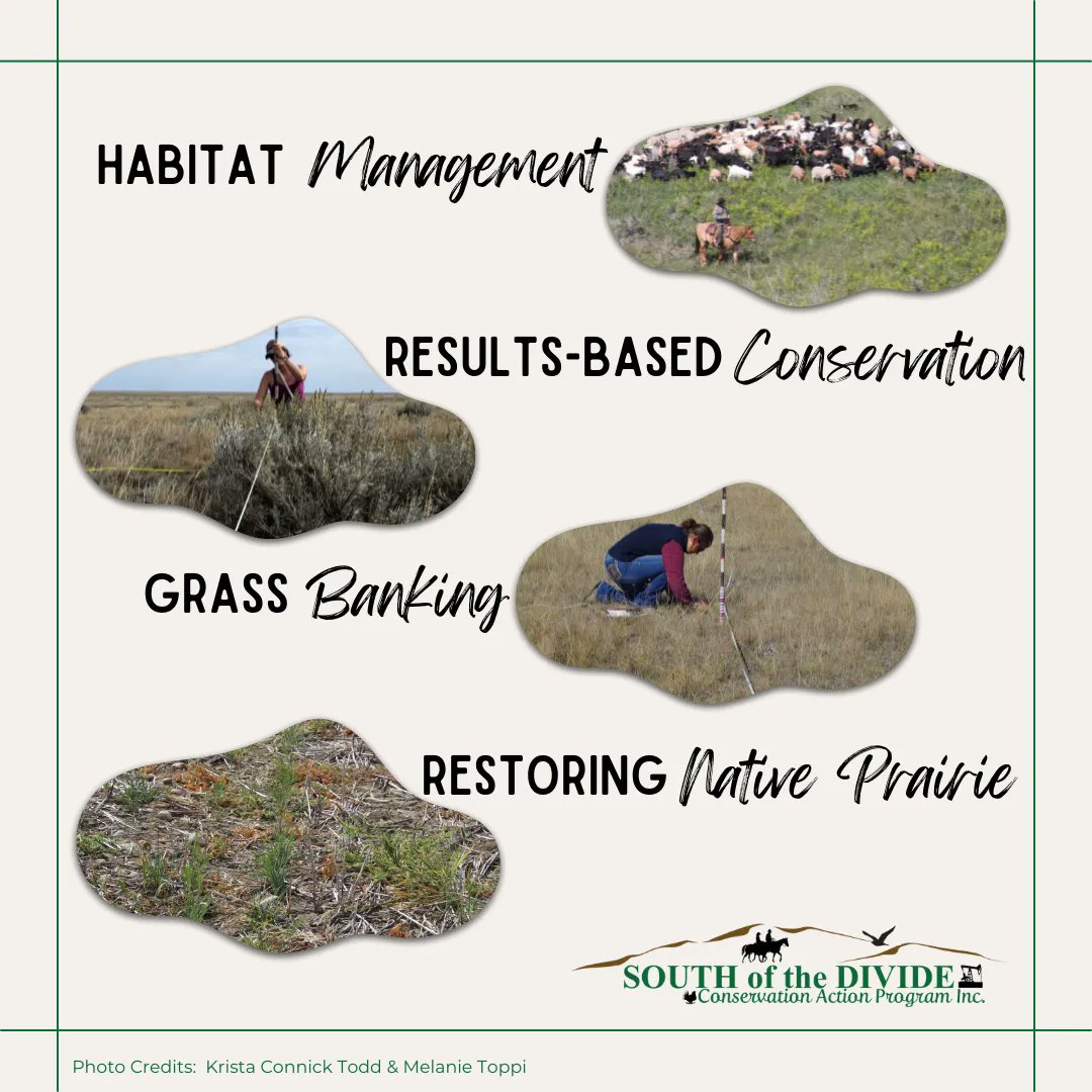 SODCAPInc's tweet photo. SODCAP was initiated in 2014 &amp; is involved in a variety of successful projects – Habitat Management, Results-Based Agreements, Grass Banks, Restoration…  We work with a variety of partners that make these projects possible. #speciesatrisk #sodcap #conservation https://t.co/Pjw9QGuOhx