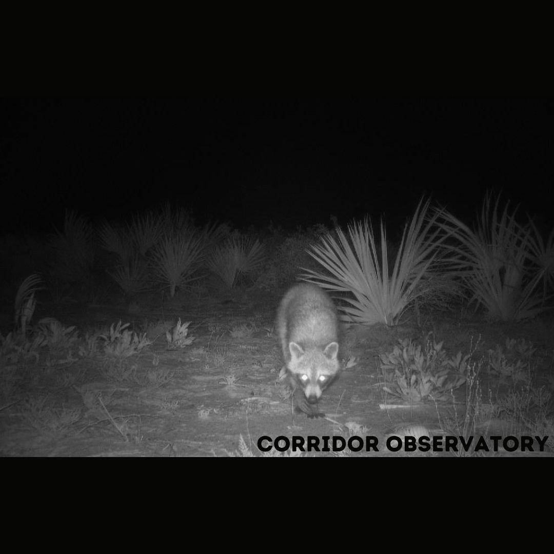 Joseph M. Guthrie tweet media