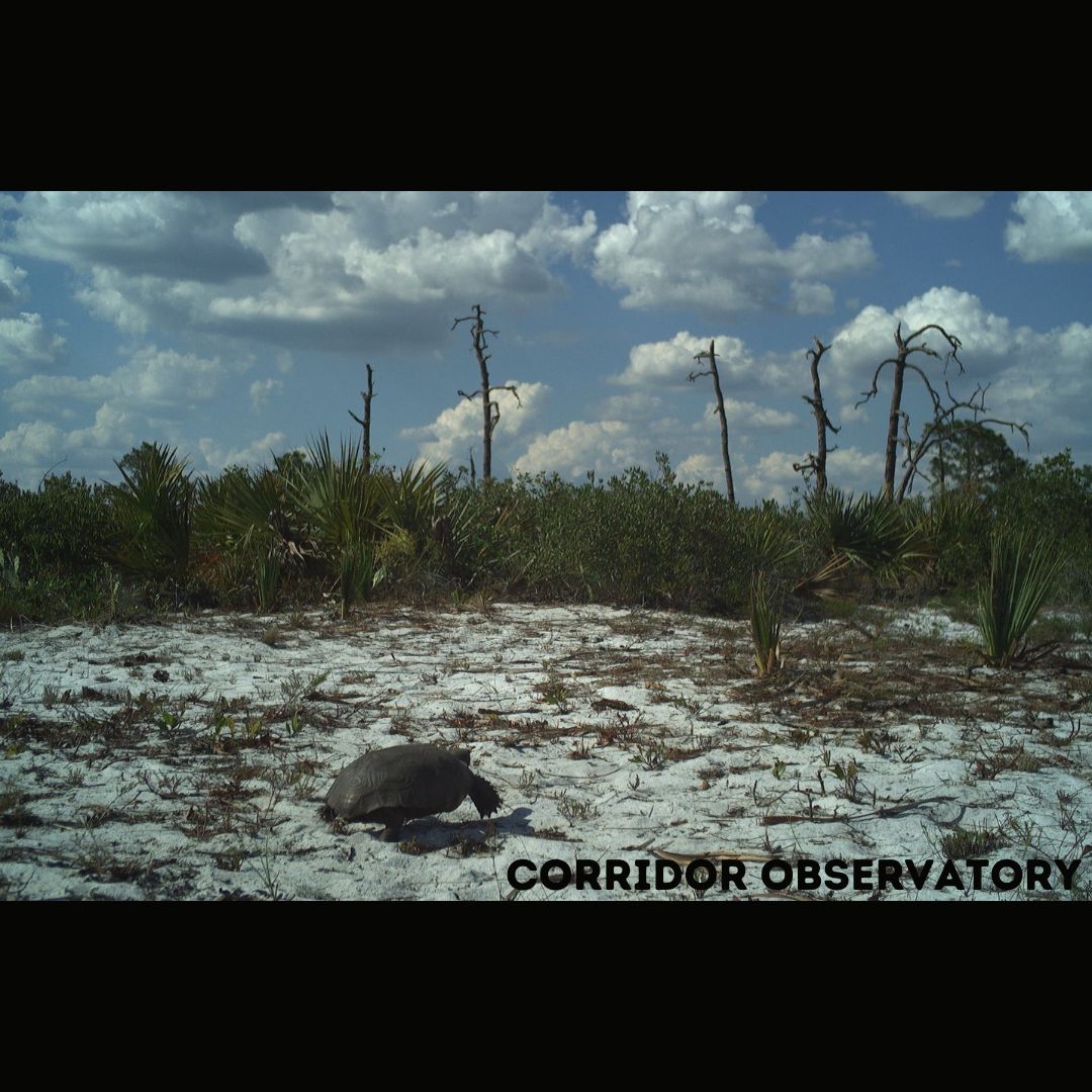 Joseph M. Guthrie tweet media