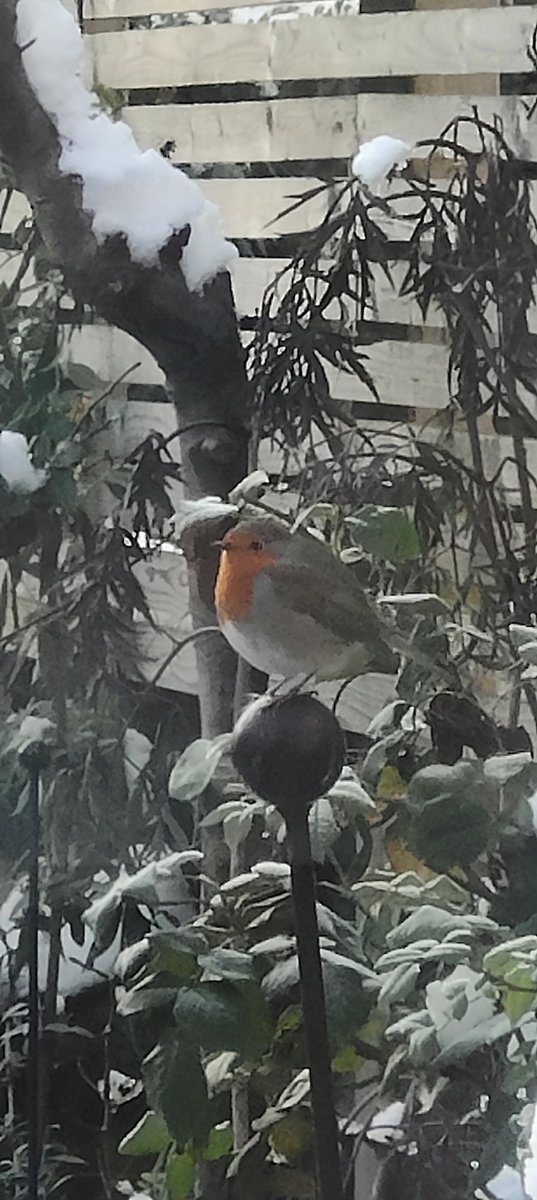 Paul Sinclair tweet media