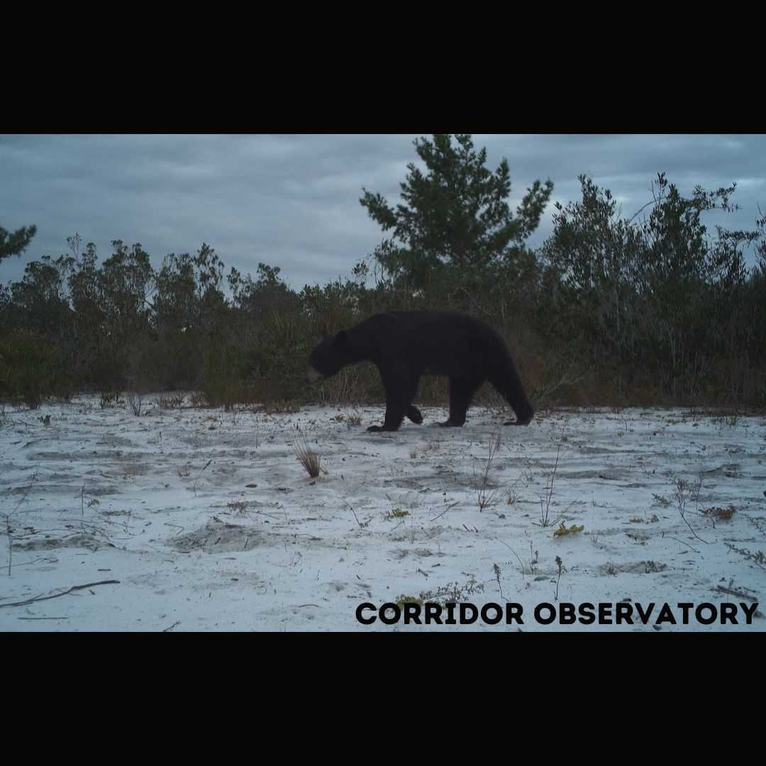 Joseph M. Guthrie tweet media