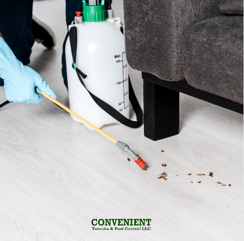 termiteslayer's tweet image. Every year, termites inflict more than 5 billion dollars of property damage. That’s why it’s essential to have a termite infestation.
Call us at (480) 892-8277.
#termitecontroller #termitecontrol #mesa