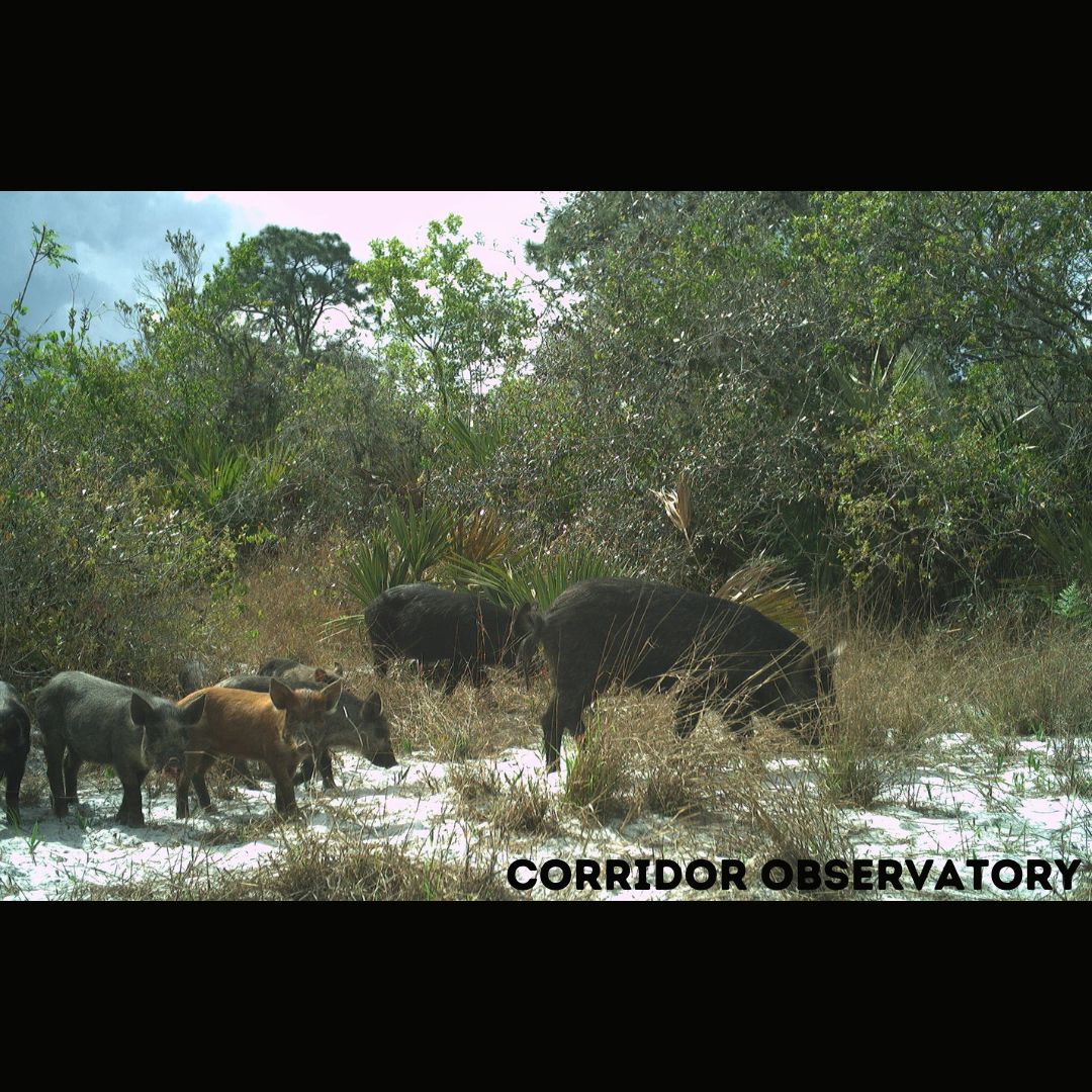 Joseph M. Guthrie tweet media