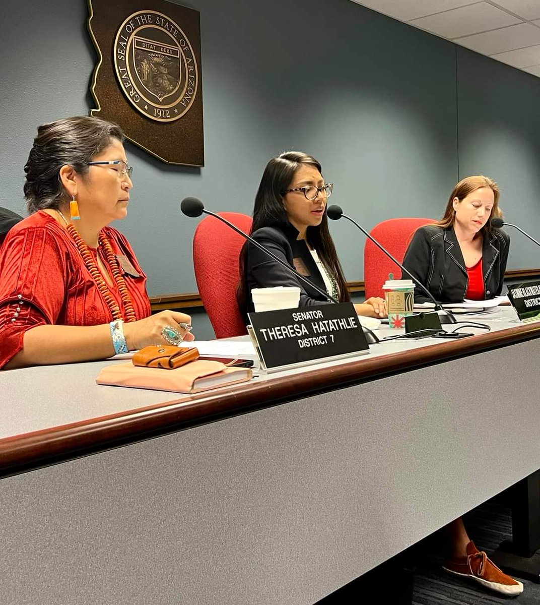 We have a long list of accomplishments and even more recommendations.

Thank you to everyone who has supported our work.  Senator Hatathlie will lead this effort in the next few legislative sessions.

Our report and recommendations will be published before the end of the year.