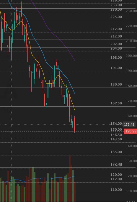 Trading Buddyz tweet media