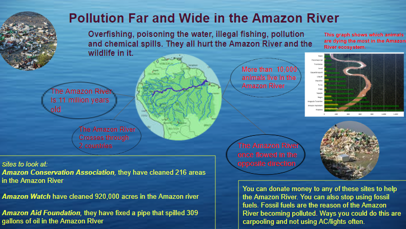 Erica Camilo tweet media