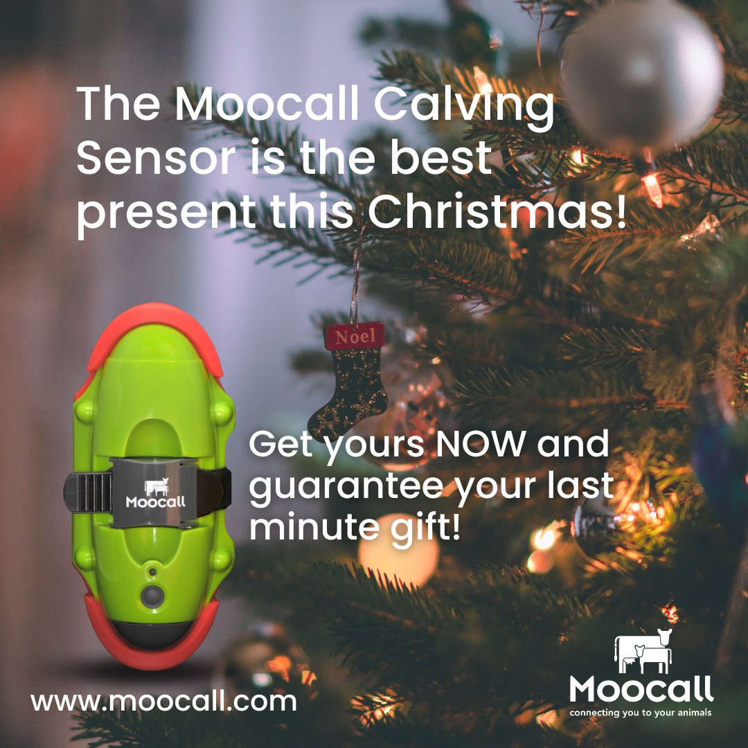moocallofficial's tweet photo. Guarantee your last minute present! ๐
๐๐ฎ
To get your own Moocall Calving Sensor visit
https://t.co/QvJvBK9Wrb or call us on:
ROI: 01 969 6038
UK: 0203627 1126
US: 1-800-657-4291
#moocall #moocallheat #moocallcalvingsensor #moocallsensor #farm #farming #ag #agbusiness https://t.co/3NK08Mo0Jm