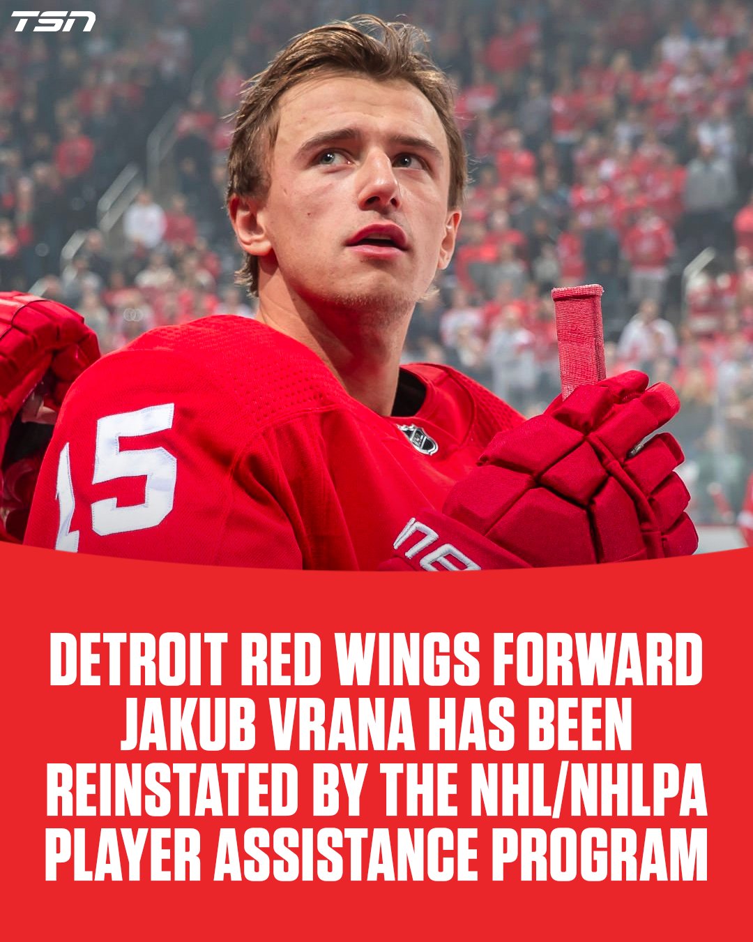 Red Wings forward Jakub Vrana reinstated by NHL/NHLPA player assistance  program