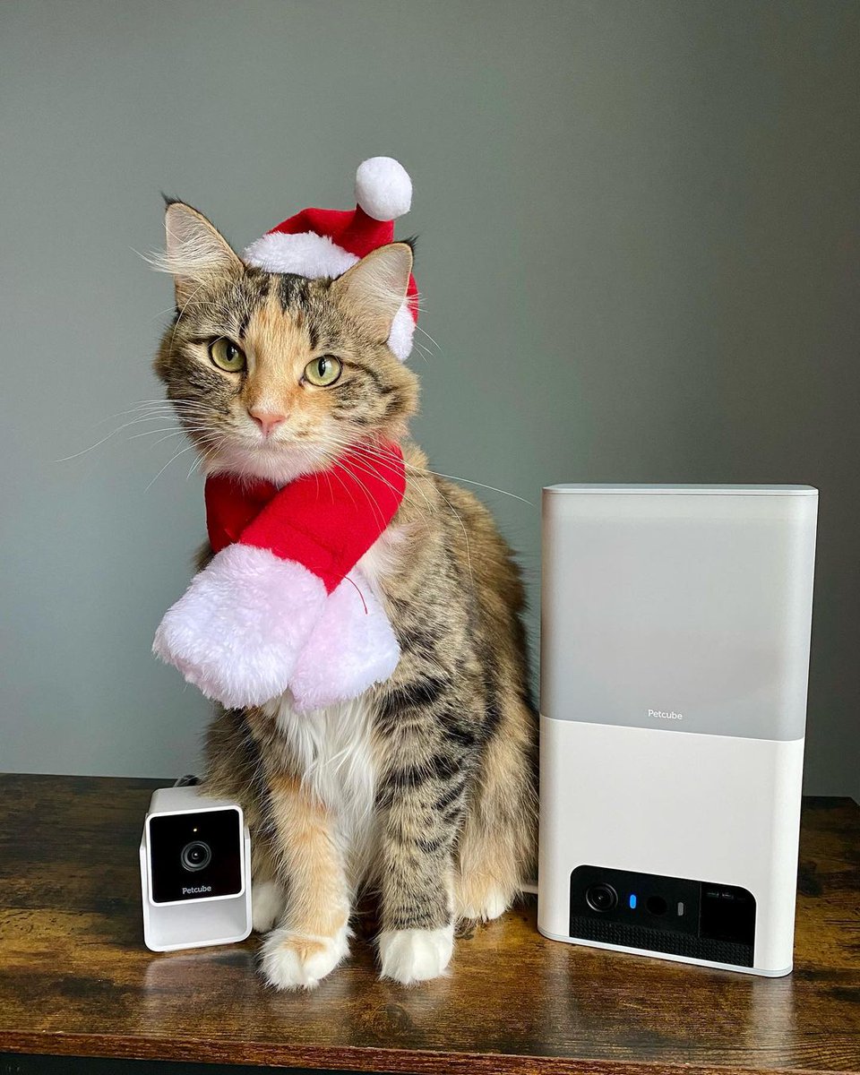 this is your sign to buy gifts your pet needs. shop Petcube now petcu.be/3PvfwlX 🎁