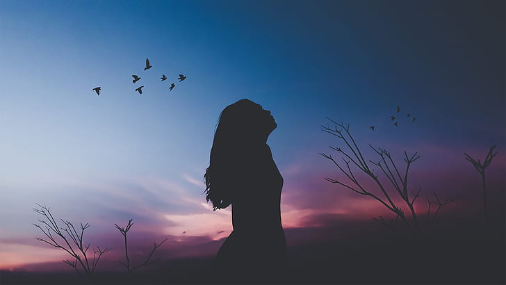 P_J_Richards's tweet photo. 🪶☁️🪶"Her eyes hawk the horizon, watching for the next hilltop beacon, or the slate walls of oncoming storms, or the signs left on the sky by arrowheads of migrating birds as the wind carries them south."

🍂Of The Ways - featured in Dreamland: Other Stories
#FictionShareFriday https://t.co/F3tmg1RXYa