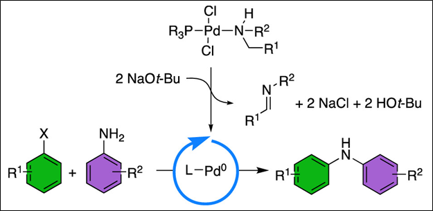 Orgmet_ACS's tweet photo. New in @Orgmet_ACS from @LabShaughnessy, palladium amine complexes as self-activating catalysts for N-arylation reactions. The amine structure has a major effect on catalyst activity. Learn all about it: https://t.co/7HMH4NwqxI https://t.co/Apwj4QYJZf