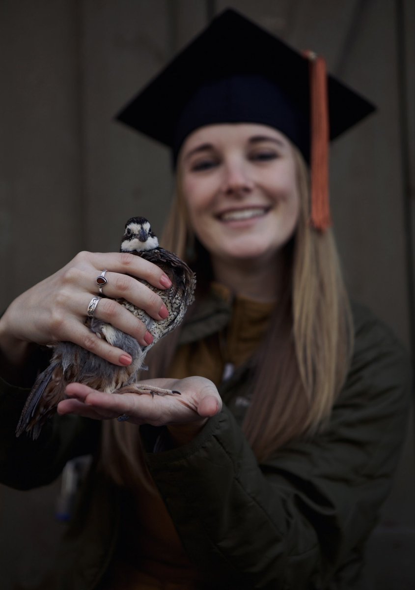 OLappin's tweet image. Black Hills South Dakota, here I come! Though I don't *technically* graduate until Spring, I will be starting a new job as a Private Lands Wildlife Biologist after the holidays! Excited for what the future holds! @mark_wildlife1 @PrairieWildlife