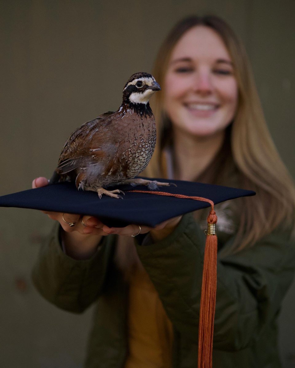 OLappin's tweet image. Black Hills South Dakota, here I come! Though I don't *technically* graduate until Spring, I will be starting a new job as a Private Lands Wildlife Biologist after the holidays! Excited for what the future holds! @mark_wildlife1 @PrairieWildlife