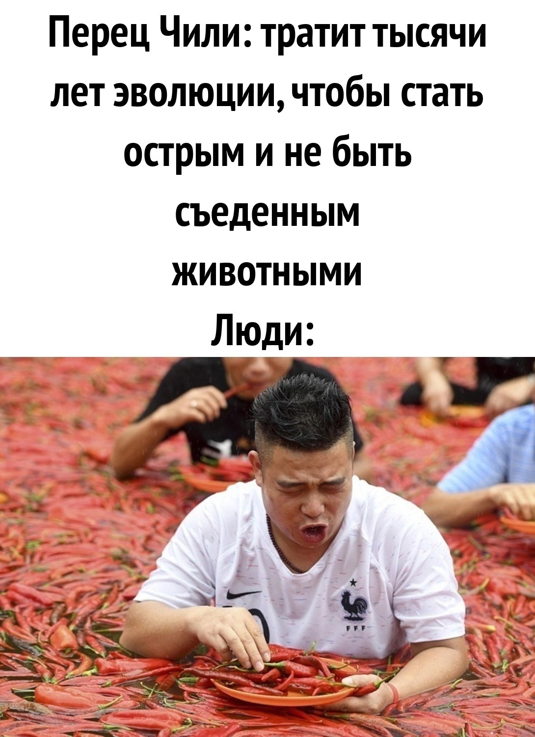 Самые смешные шутки