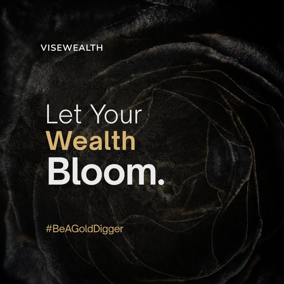 visewealth's tweet photo. This golden opportunity for growth comes with its own fresh rewards! #BeAGoldDigger and start reaping the benefits today
#Visewealth #Viseclub #Finance #NFT #digitalasset #Finft #Wealth https://t.co/bEVRJzVczO
