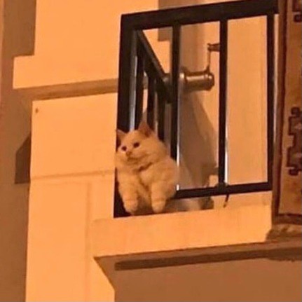 2023 benim yılım olacak.
Ben :