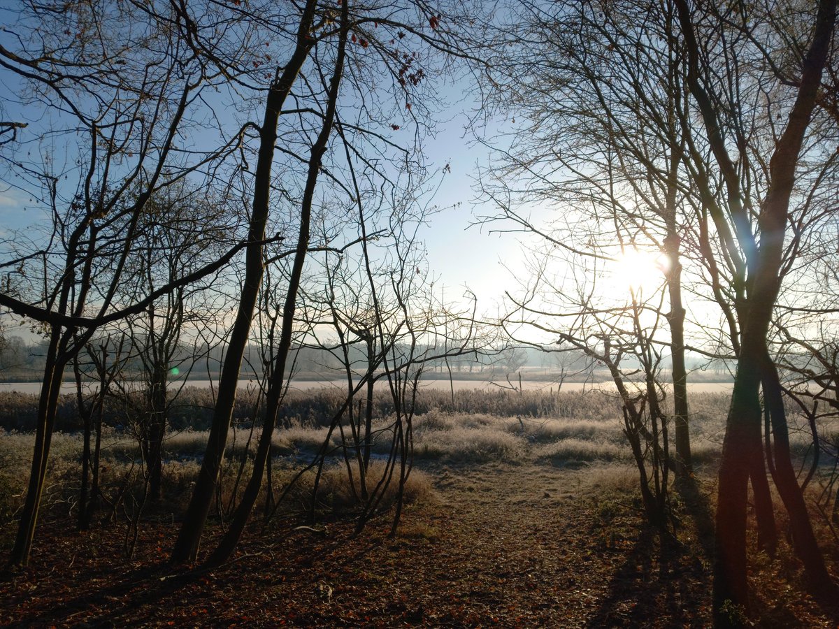 harris_sjh's tweet photo. Down to the patch today, much to the delight* of @birdingfox (*probably). It was cold!! But pretty, and felt like something might be about. Alas, nothing unusual (I even went back at lunchtime to double-check) but amazing to see birds surviving these conditions. #ThompsonWater https://t.co/blDzcpZVJH