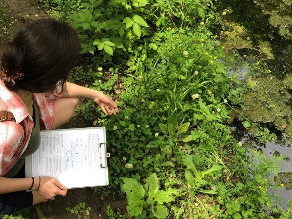 MeadowsC4Water's tweet photo. Looking for an #environmentalresolution to start off the New Year? Texas Stream Team invites you to become a citizen scientist! Monitor at your favorite creek, or river while making a difference in our Texas waters. Visit https://t.co/XEOyb0NDu5 to find a training near you! https://t.co/Xwtg17N7Y2