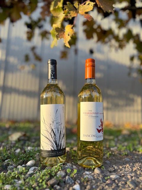 Dancing Coyote Wines tweet media