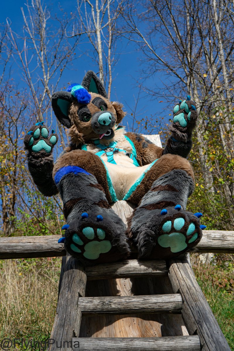 It's finally FursuitFriday!
Wishing you all a fantastic weekend! 

📷 : <a href="/FlyingPuma_/">FlyingPuma</a> 
🧵 : <a href="/FursuitParade/">Fursuit Parade</a> 
⛓ : <a href="/Crunchycurl/">Crunchycurl</a> 

#furry  #fursuit  #FursuitFriday  #FursuitEveryday  #Hyena