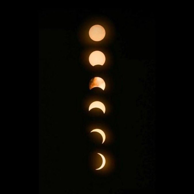 （✿ ◞◟） tweet media