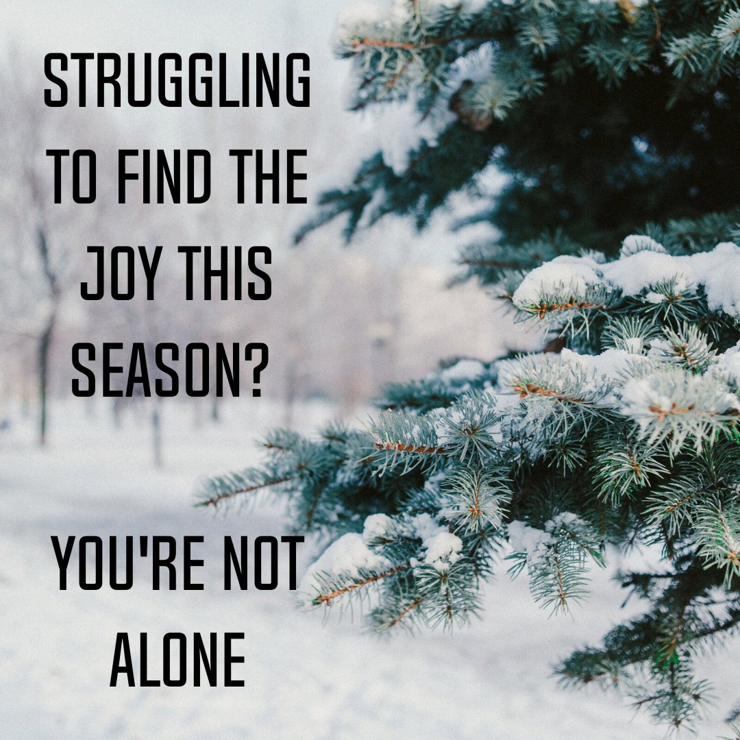 JCurtisWitt's tweet photo. While there is so much good in the Christmas season, for many, it brings a lot of hardship. If you are having a hard time finding joy this year, know you are not alone. I encourage you to reach out to someone. Life is too hard to do it alone. https://t.co/eUFdsJOCWt