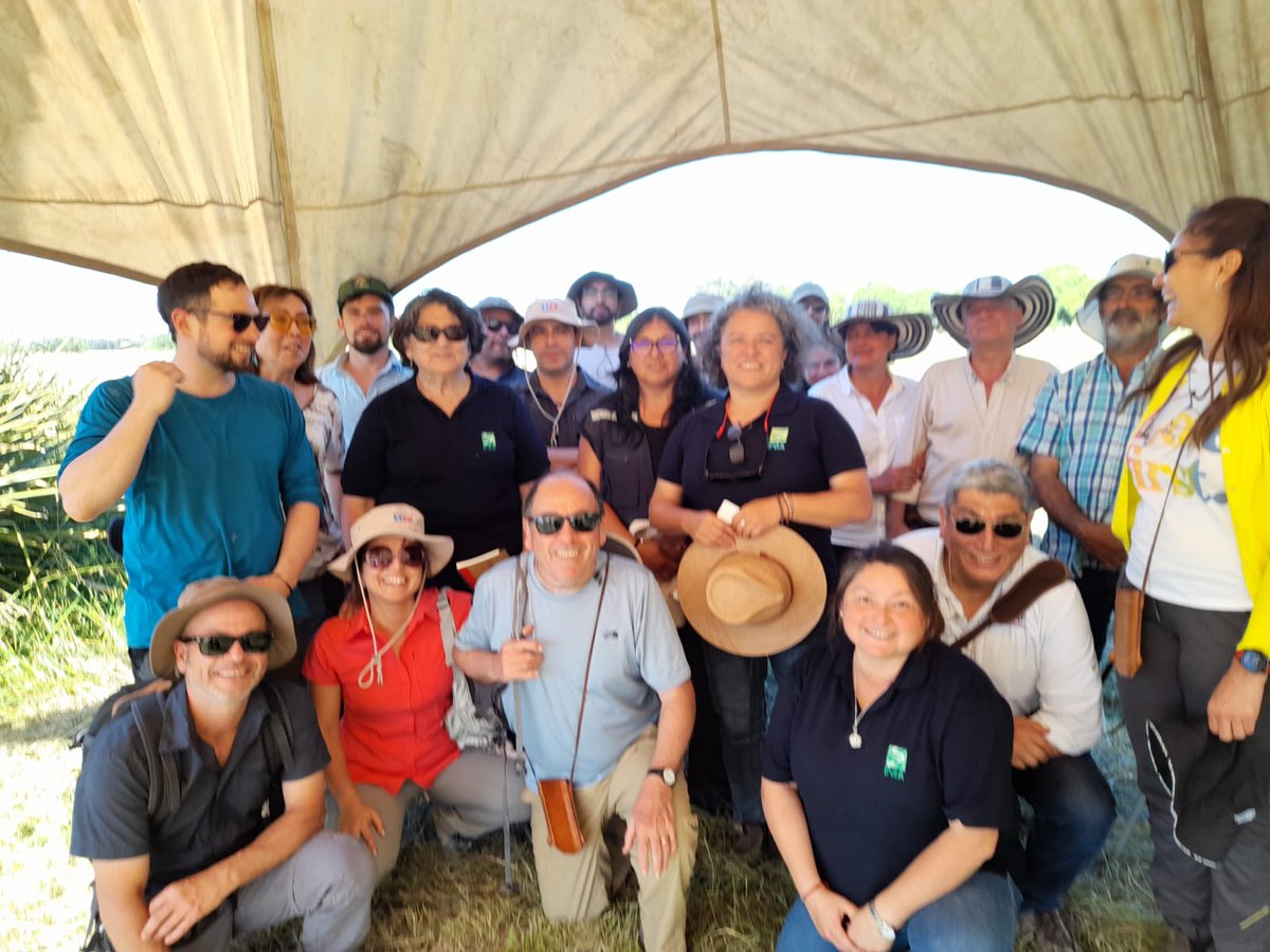 AgroecoINIA's tweet photo. 🌱Hoy se dio termino al Curso práctico de restauración agroecologica realizado en el Faro Agroecologico de @INIAQuilamapu.
Actividad organizada por @iniachile y CET, financiado por BID.

#agroecología 
#YoNutroMiSuelo
🧑‍🌾👩🏽‍🌾 https://t.co/u1Id6ww7UI
