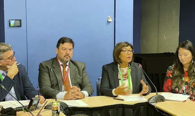 .@MariaLenasemedo speaks at #COP15 event on achieving Post2020 targets through sustainable #bioeconomy in agrifood systems She stressed the need to 'move bioeconomy from niche to default development model, embedding it in int'l discussions on biodiversity, climate & environment'