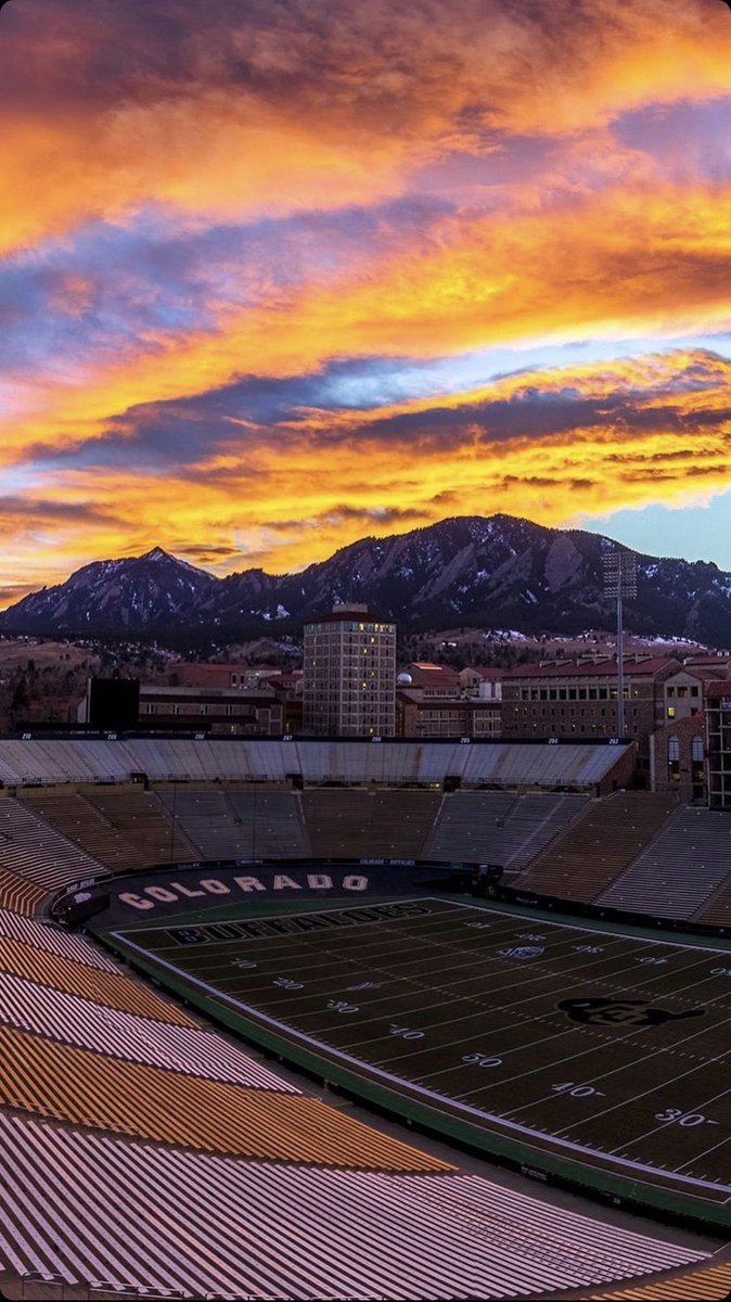 Buffs Vs The World 🦬 tweet media