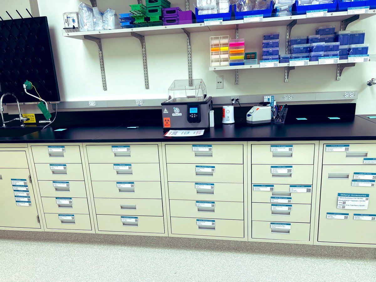 CterminiPhD's tweet photo. Major cell culture room progress today thanks to @nj_setiawan. We are almost ready for equipment move-in day next week! #TheLabEdit #CellLove #NewPI https://t.co/nL0swJZ6l0