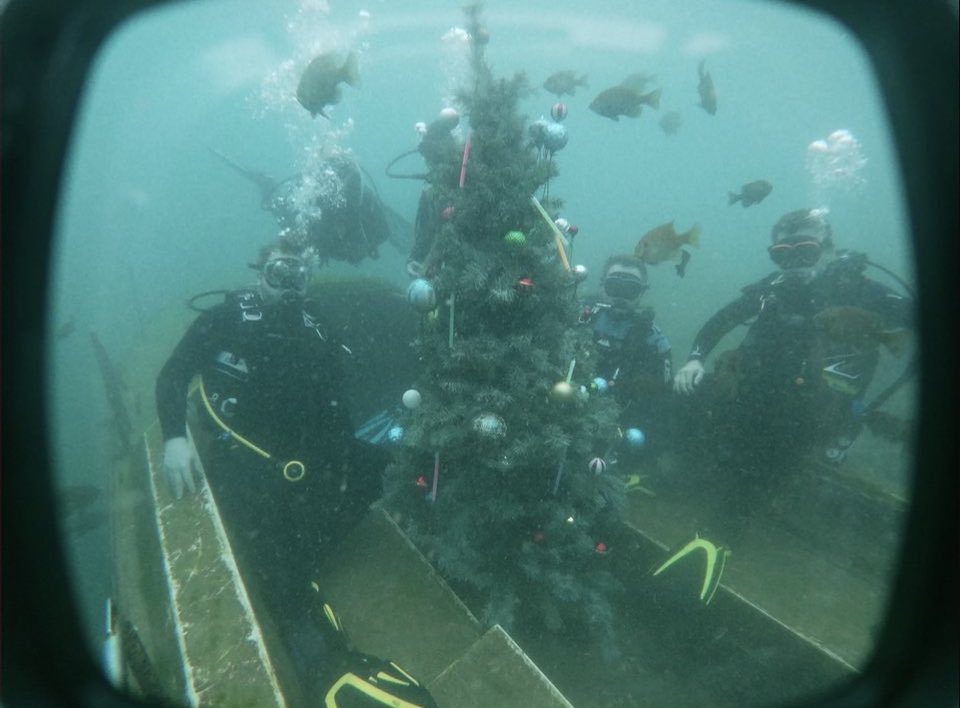 UTM SCuba (@scubaclubatutm) on Twitter photo 