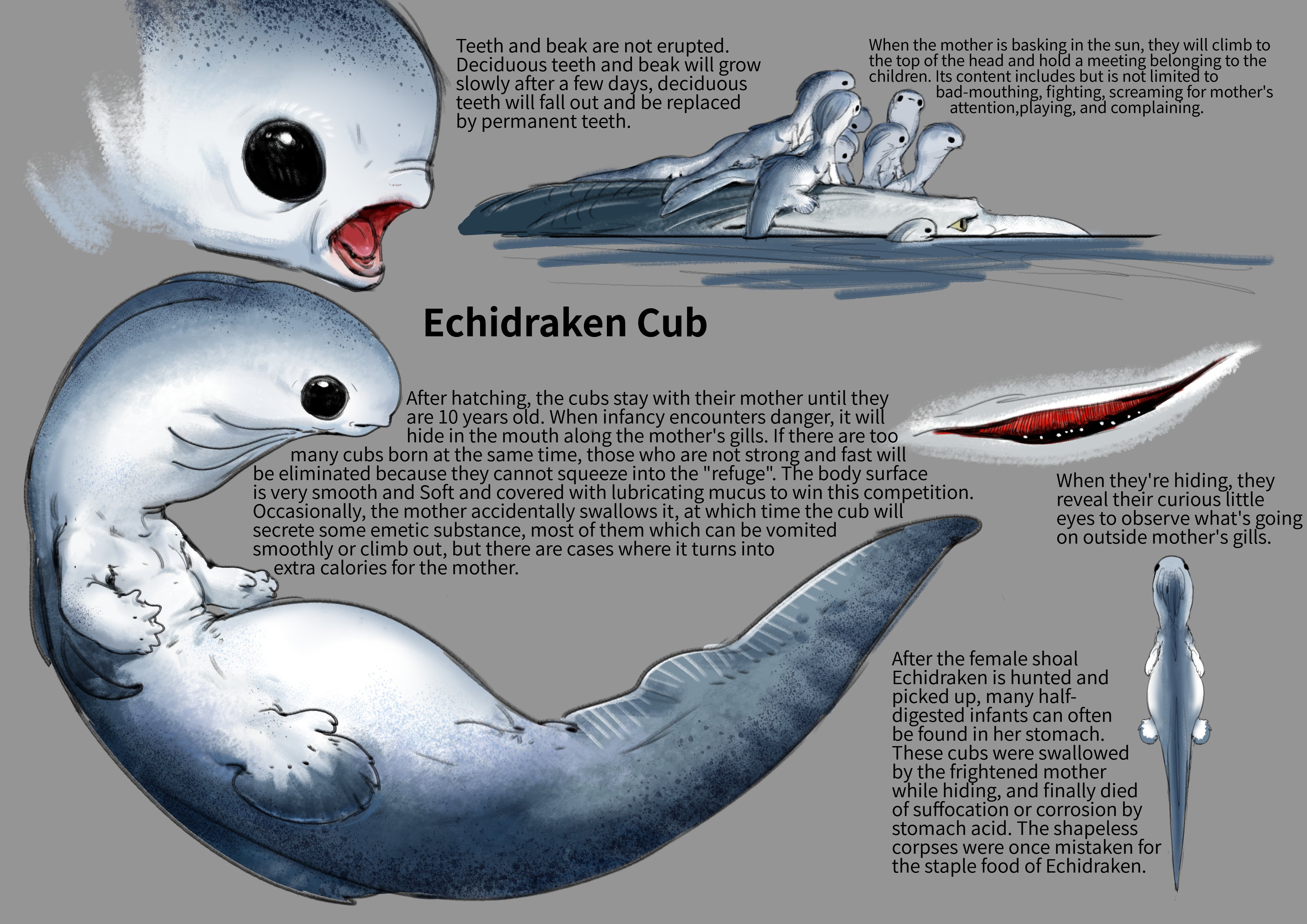 flounder man (flounder_men) / Twitter