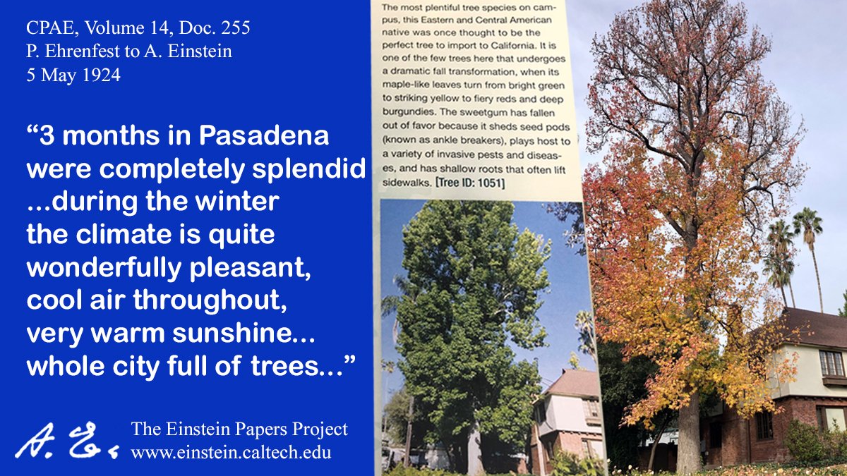 EinsteinPapers tweet media