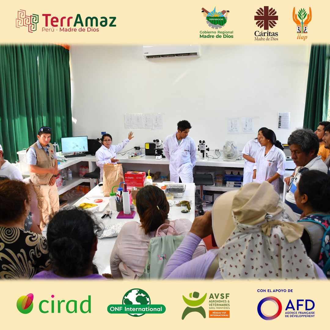 TerrAmaz tweet media