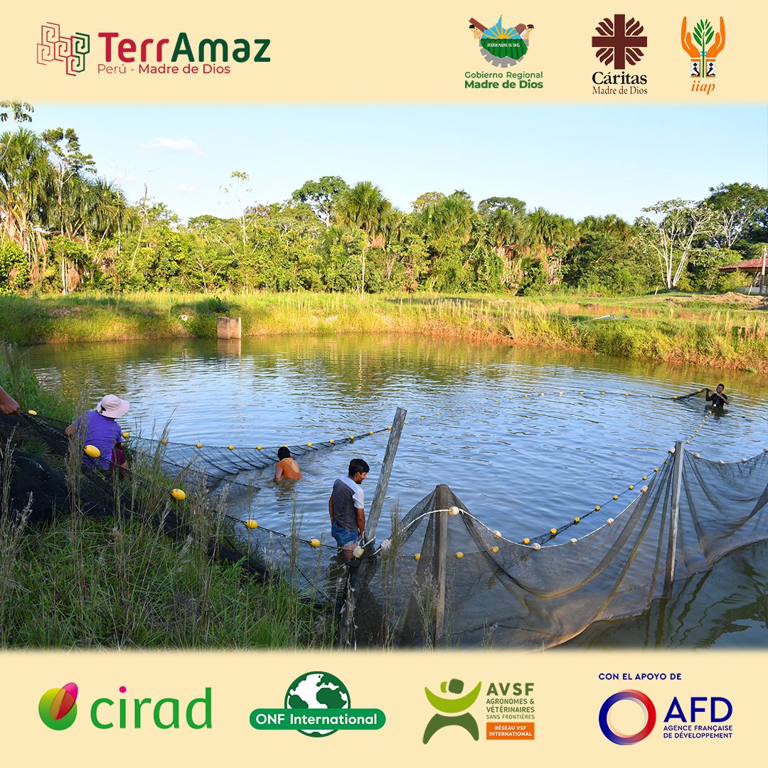 TerrAmaz tweet media