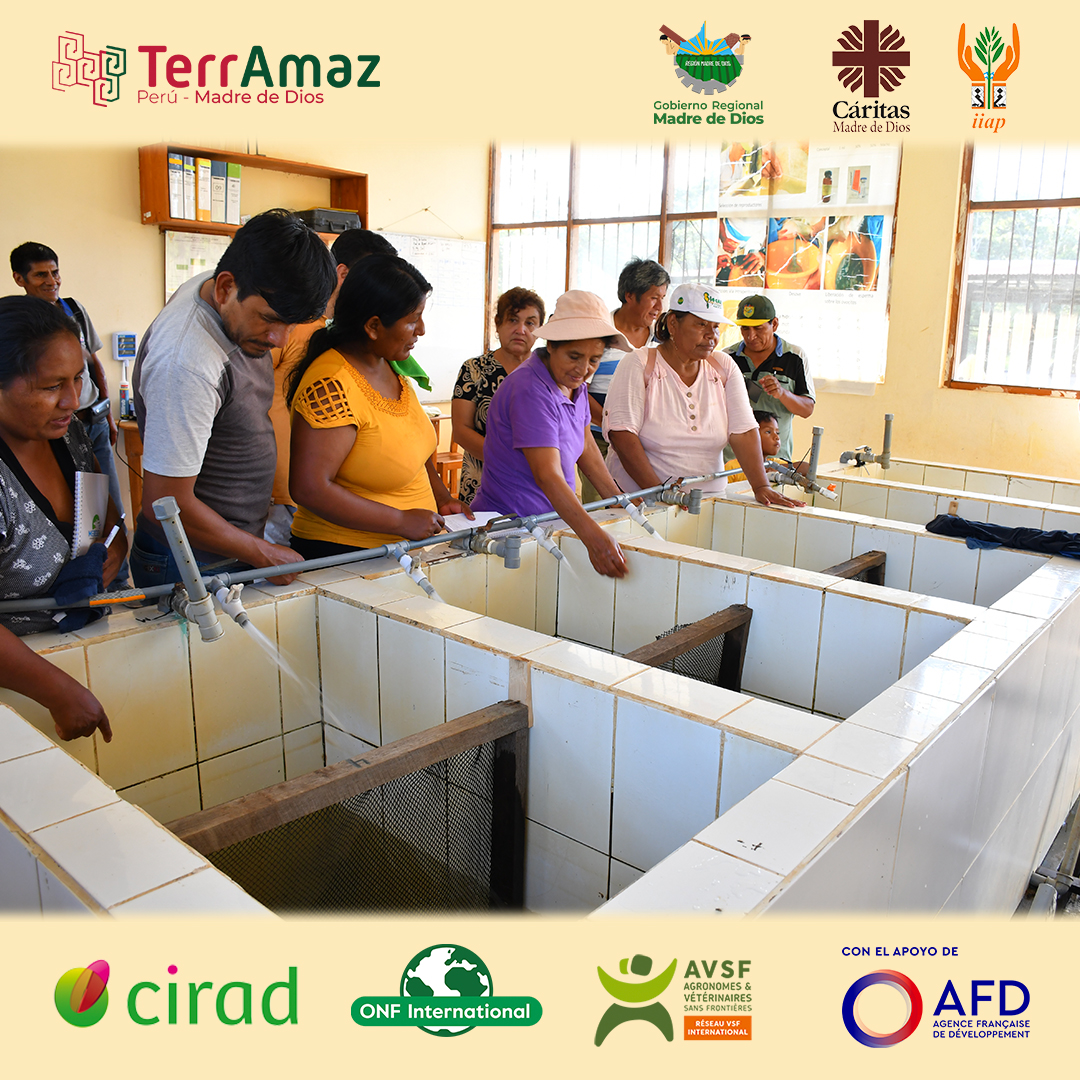 TerrAmaz tweet media