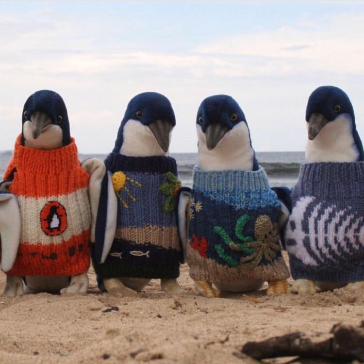 get her what she really wants for Christmas