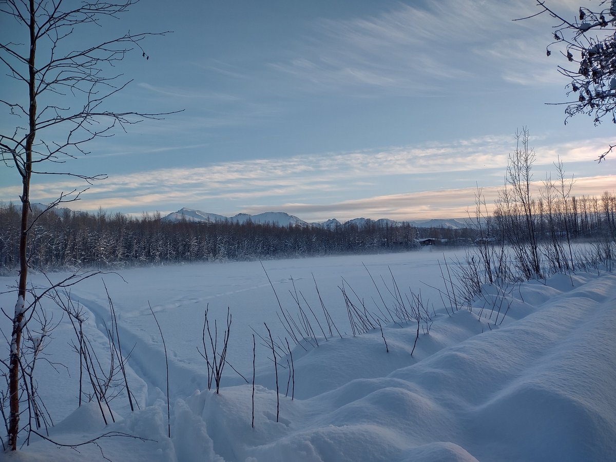 GeorgeAnchorage's tweet photo. The snow sure gives us an opportunity to see the physical impact of our collective action. I was grateful to every person, animal, or vehicle that traversed the path before me because our collective movements makes a trail possible. #staypositive #labormatters #alaskalife https://t.co/toFiQXDJud