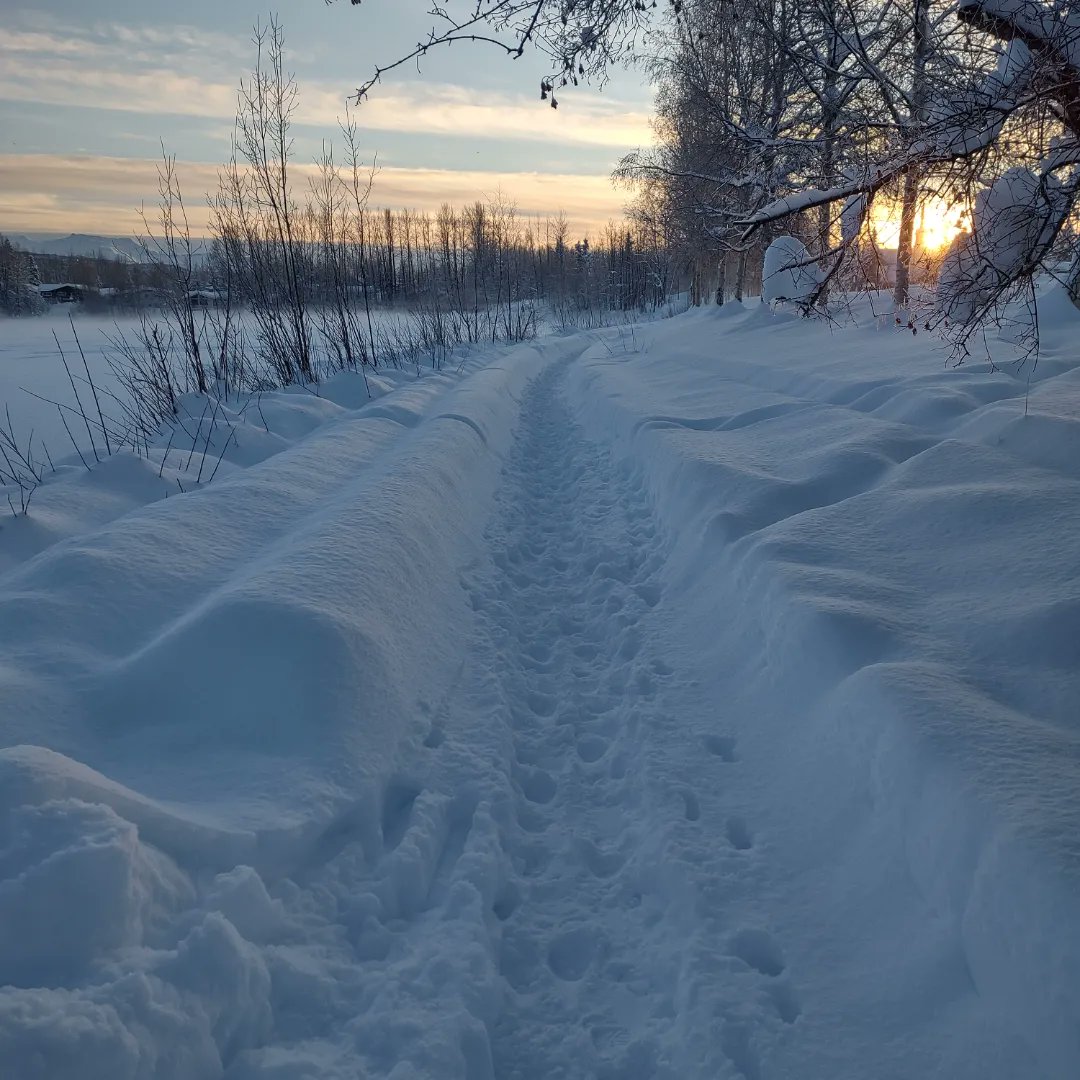 GeorgeAnchorage's tweet photo. The snow sure gives us an opportunity to see the physical impact of our collective action. I was grateful to every person, animal, or vehicle that traversed the path before me because our collective movements makes a trail possible. #staypositive #labormatters #alaskalife https://t.co/toFiQXDJud